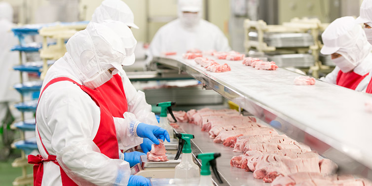  đơn hàng đặc định chế biến thịt tại Saitama